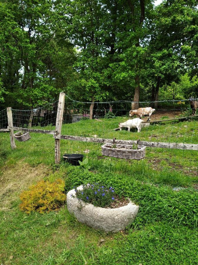 Maison Dans Un Environnement Boise Tres Calme Morlaix