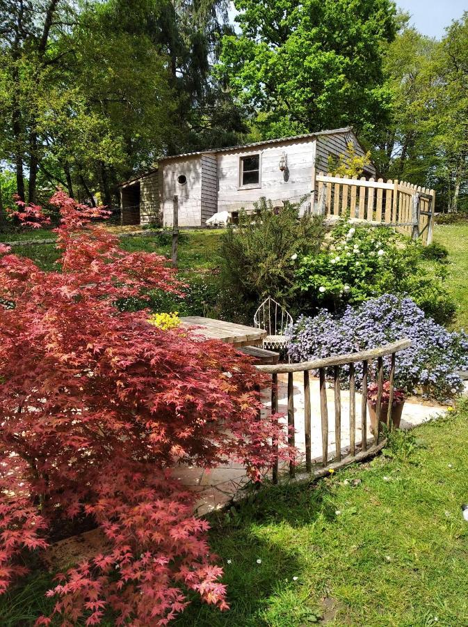 Maison Dans Un Environnement Boise Tres Calme * Morlaix
