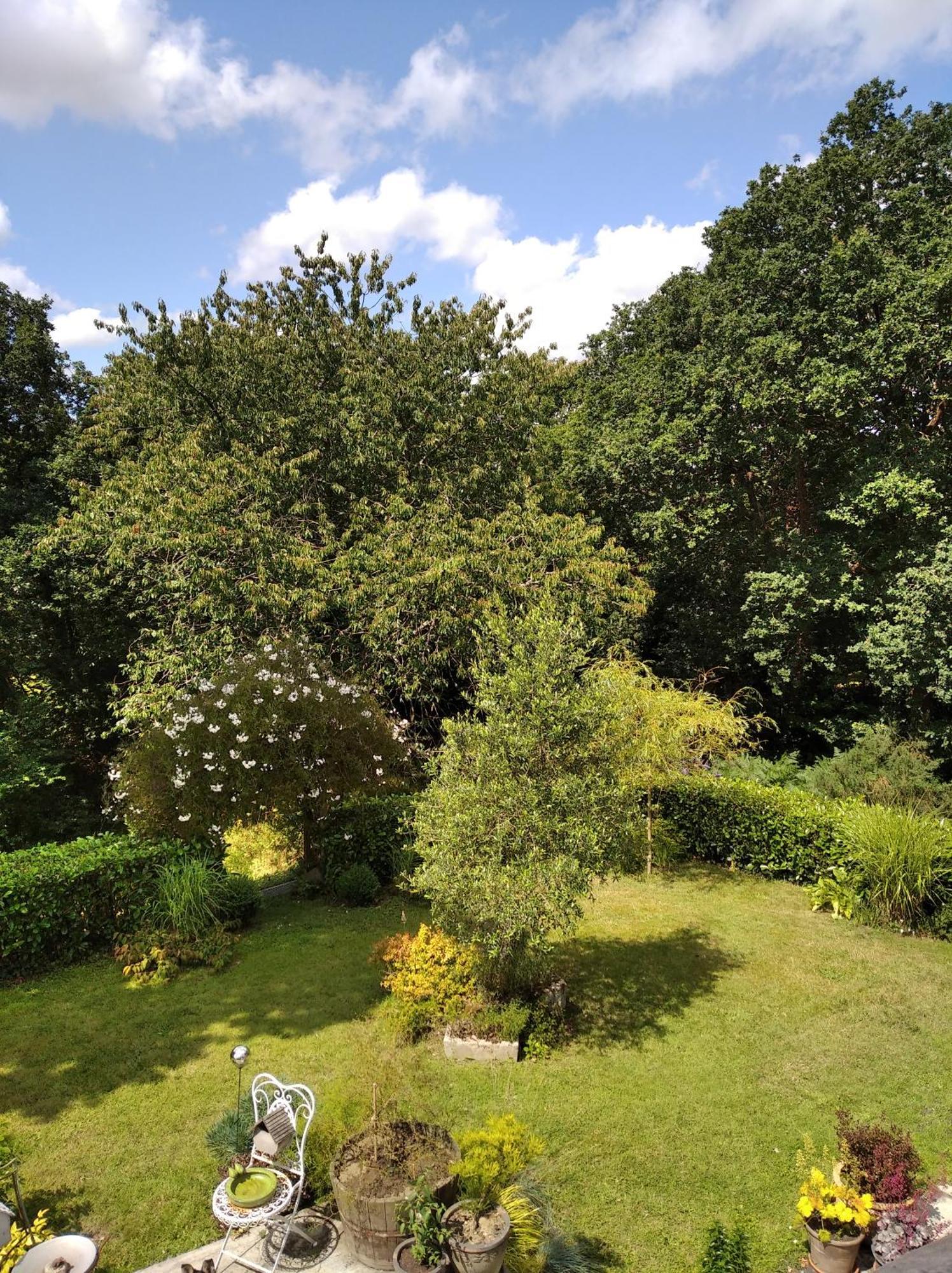 Holiday home Maison Dans Un Environnement Boise Tres Calme