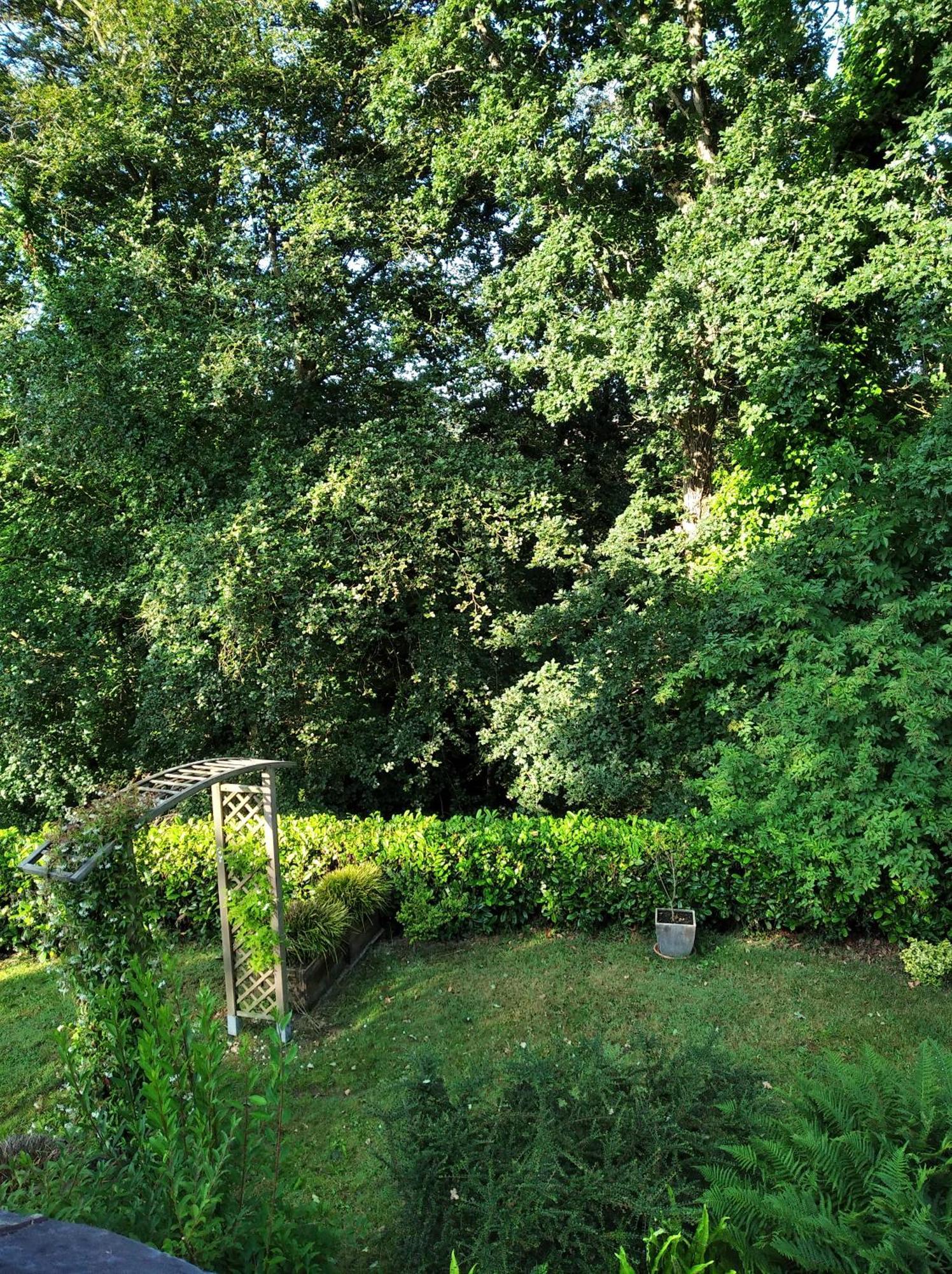 Holiday home Maison Dans Un Environnement Boise Tres Calme